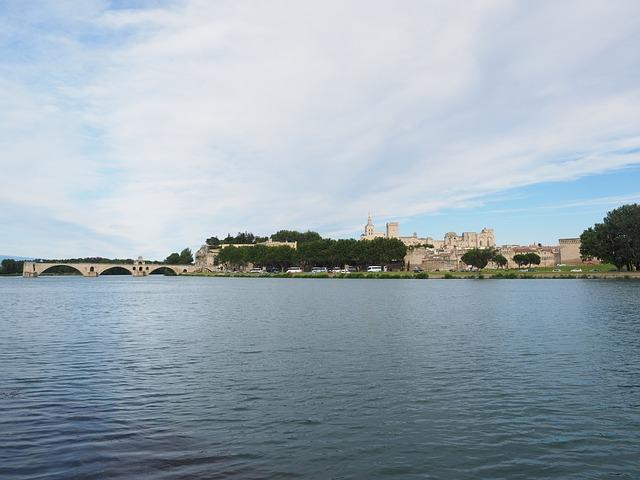 barthelasse island view of pont d'avignon