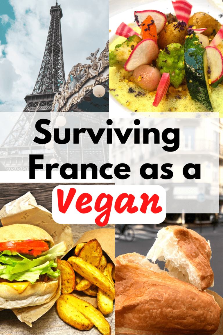 Essential Guide: Surviving France as a Vegan- Oui it’s Possible (From a Local)