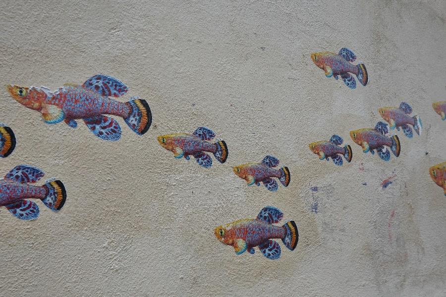 fish Street art Montpellier south of  France