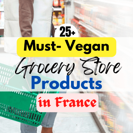 best vegan grocery store and supermarket products finds in france