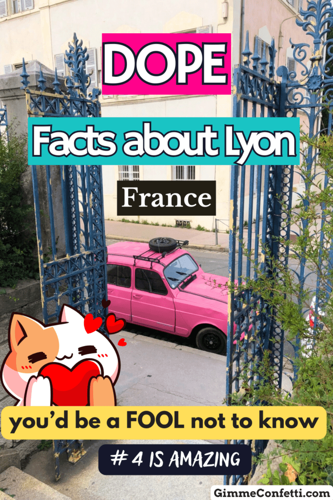 facts about lyon france