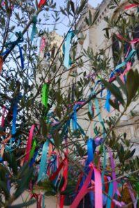 fourvievre church olive tree wish ribbon