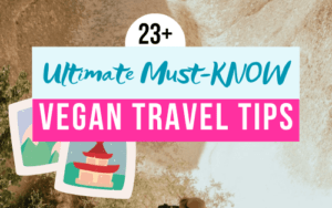 vegan travel tips