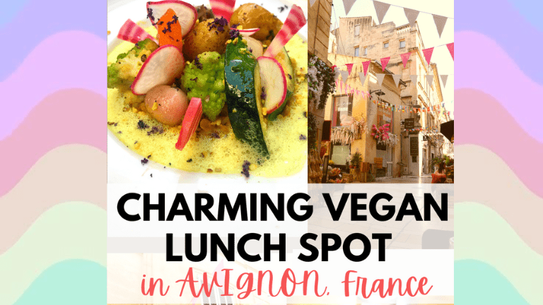 avignon vegan vegetarian restaurant v&g featured gimme confetti