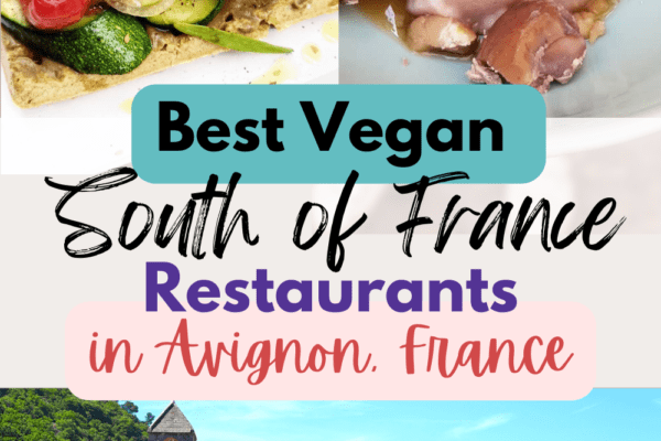 2023: Must Try-Vegan Restaurants in Provence: Avignon (From a Vegan)