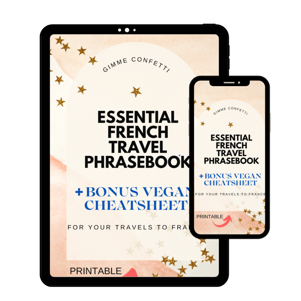 free french travel phrasebook with vegan french food and french slang
