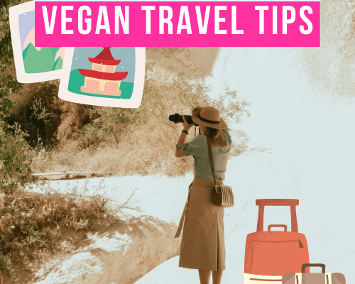 The Ultimate 23+ Must-Know Vegan Travel Tips