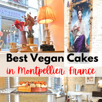 vegan food restaurant in montpellier south of france