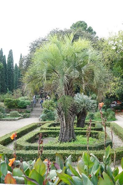 Jardin des Plantes Montpellier